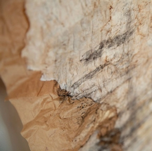 Обрывки воспоминаний 1