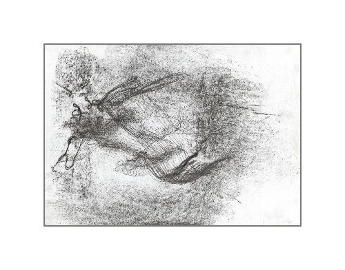 Из серии "Турбулентность"