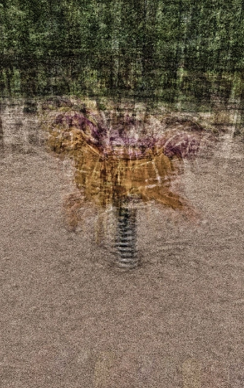 Лошадка. Серия "Голограммы 5D"