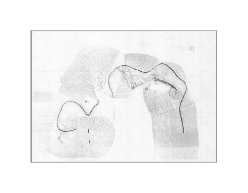 из серии "Проявления"