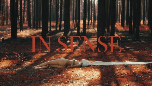 In Sense (В чувстве)