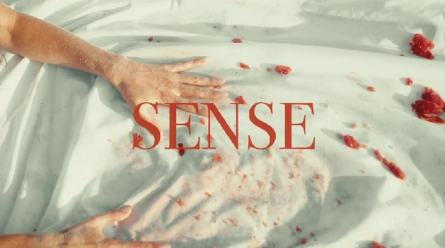 Sense (Смысл)