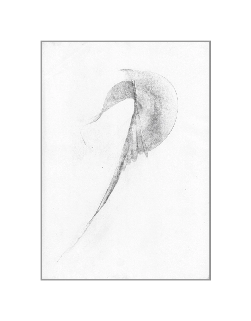 из серии "Раскрытия"