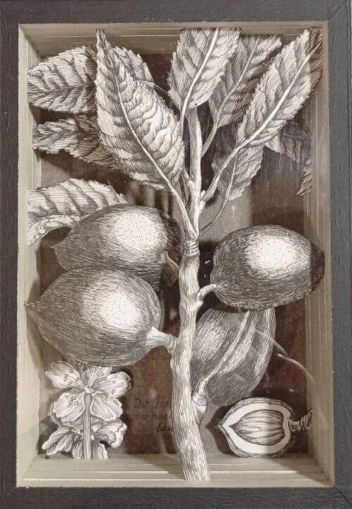 Серия "Коробочки"