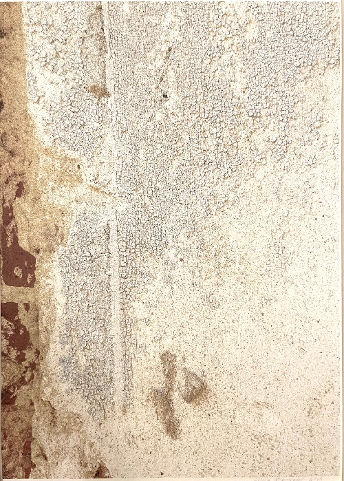 Поверхности № 8