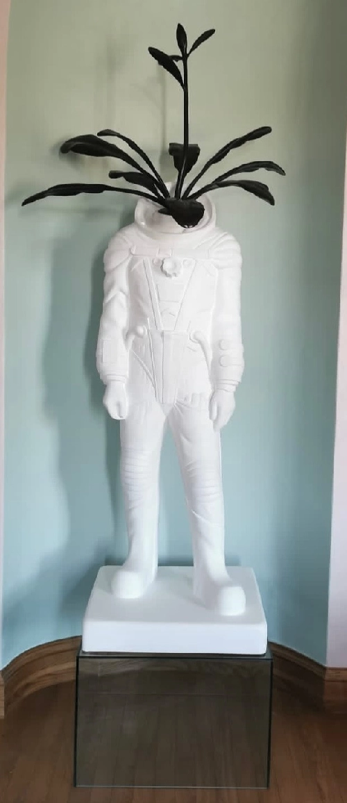 Арабидопсис. Из проекта «Первый отряд»