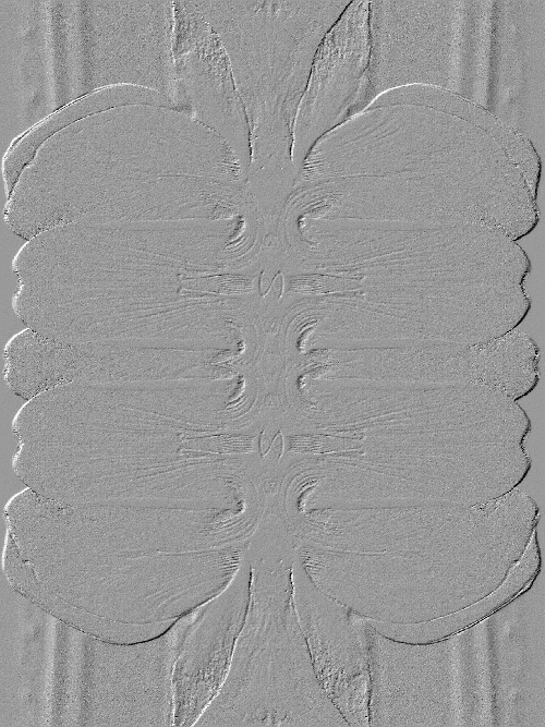 из серии "Метаморфы"