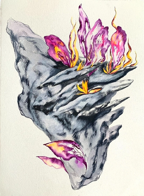 Виртуальный метеорит